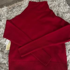 NWT Aritzia Cyprie sweater